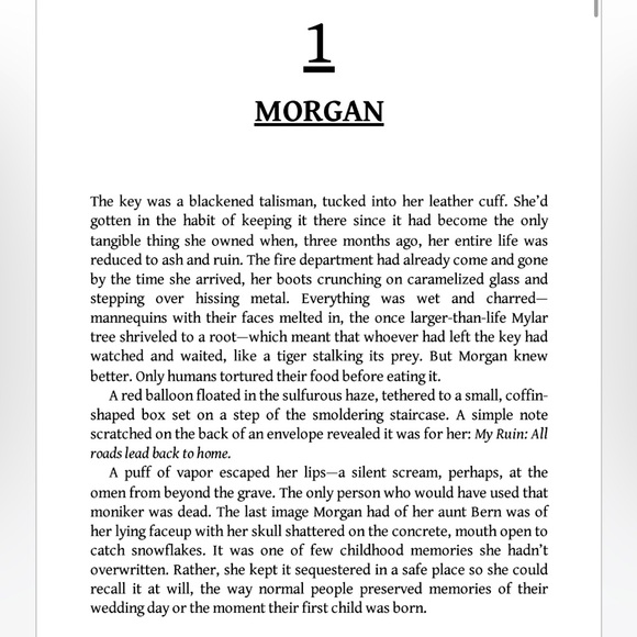 📚☠️ “THE WIDOWMAKER” BY HANNAH MORRISSEY❗️ BONE CHILLING HARDCOVER BOOK❗️☠️📚 - Picture 5 of 5